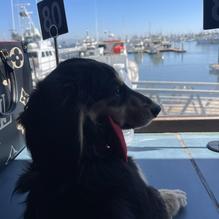 Mitch's Seafood restaurant view 1