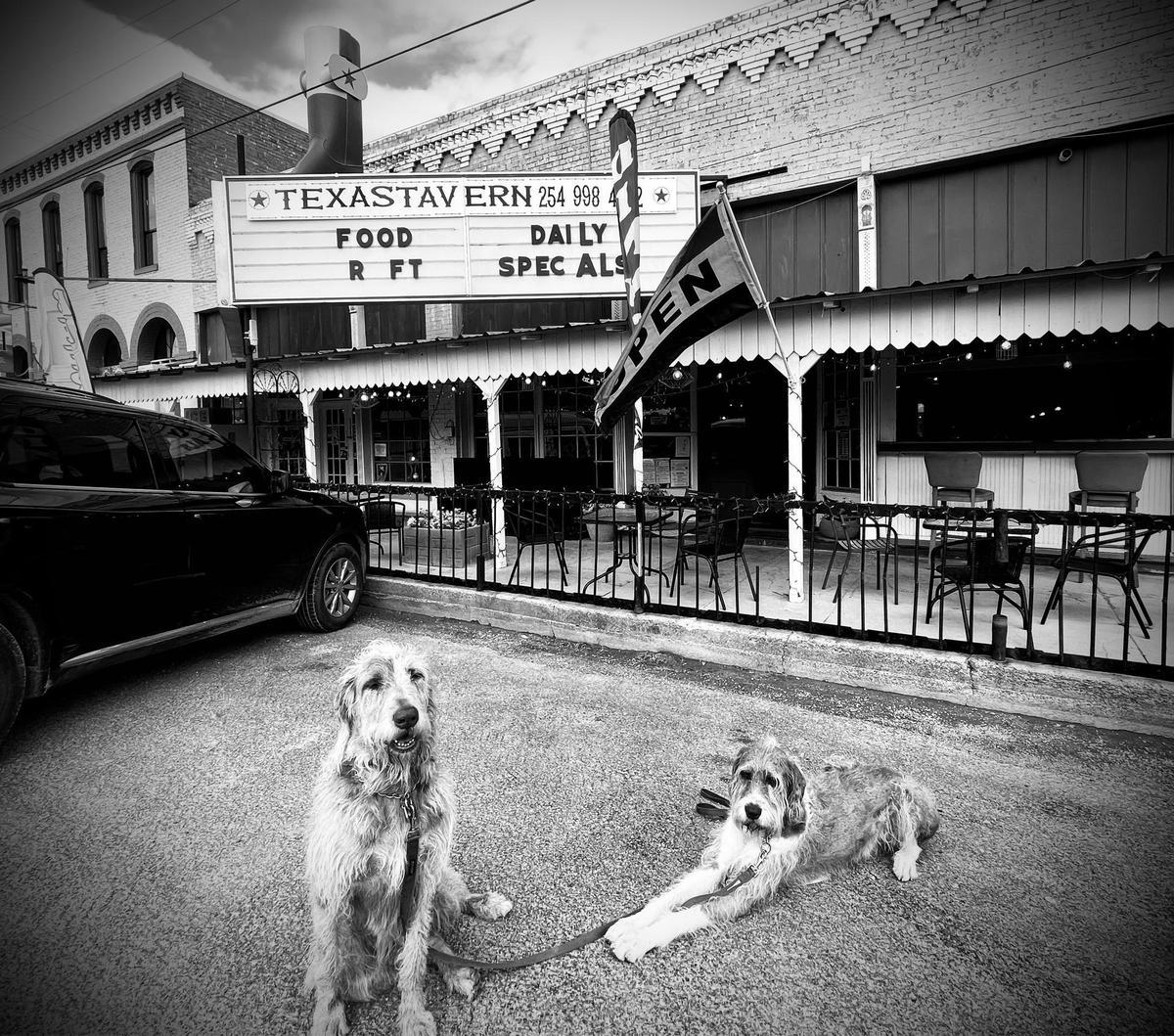 Image of Texas Tavern