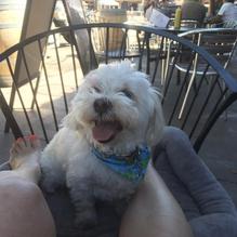 Liberty Sports Bar and Grill restaurant view 3