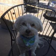 Liberty Sports Bar and Grill restaurant view 2