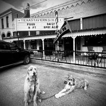 Texas Tavern restaurant view 1
