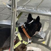 Brew restaurant view 1