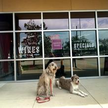 Russo's New York Pizzeria & Italian Kitchen restaurant view 1