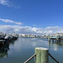 Tipsy Turtle Tavern restaurant view 1