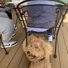 Scoops Ice Cream restaurant view 1