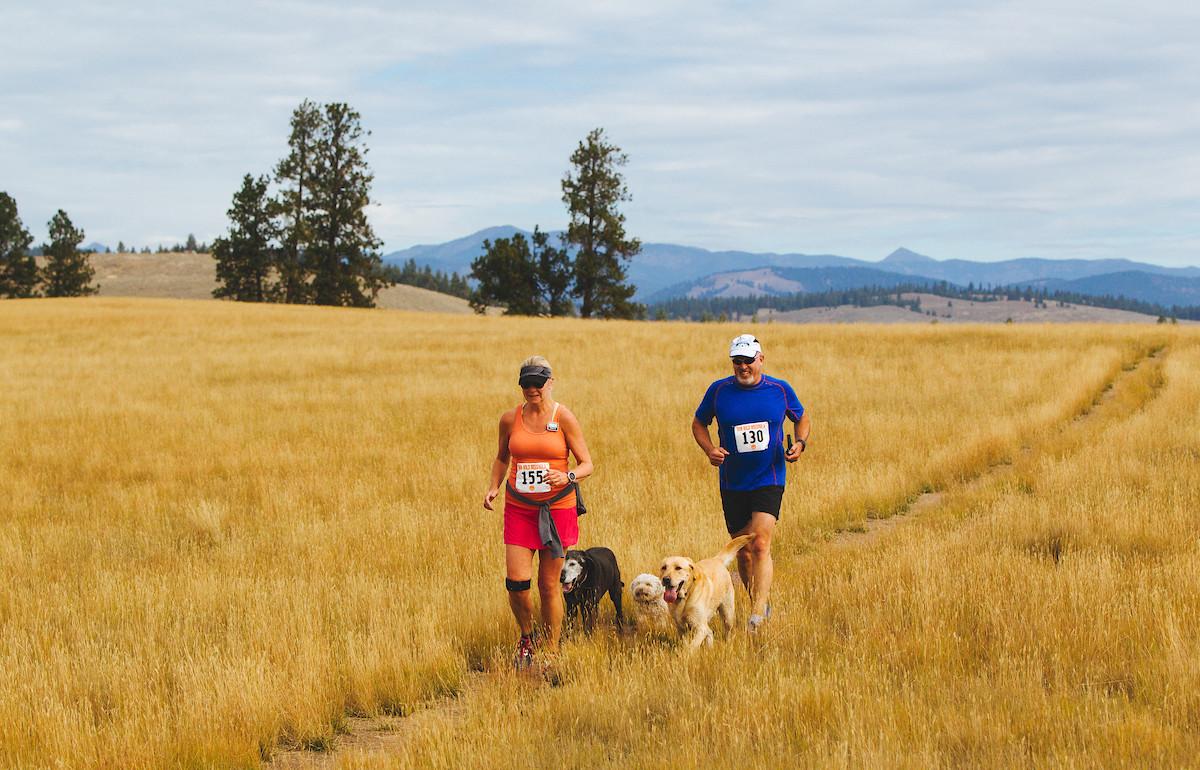 Unique Races to Run With Fido BringFido
