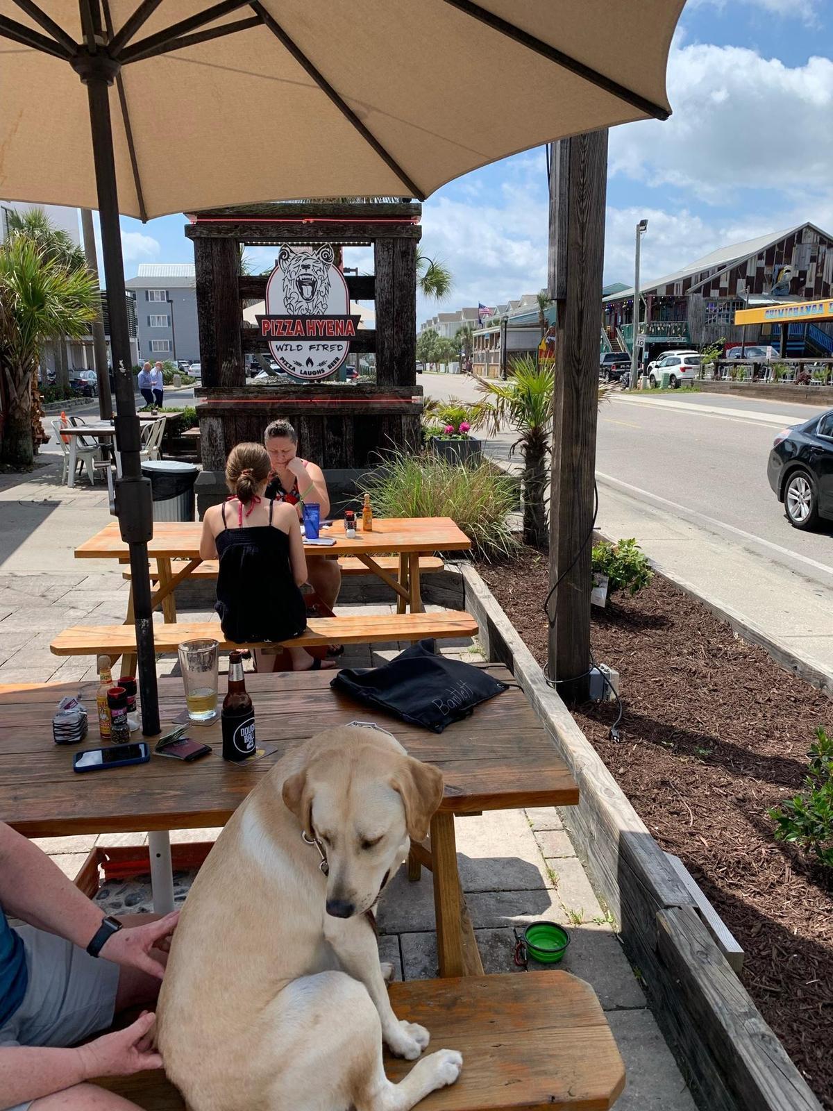 Pizza Hyena restaurant view 1