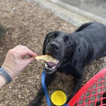 Your Pie restaurant view 3