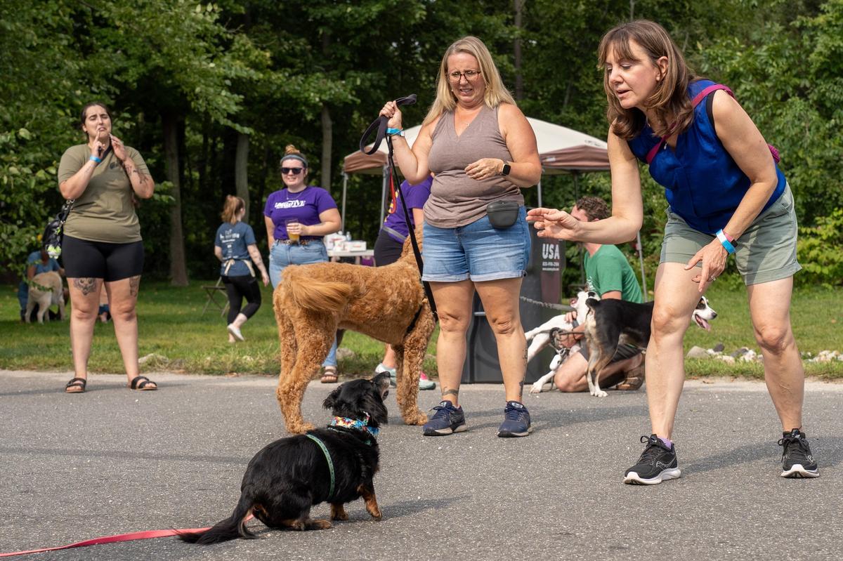 5k dog walk near me discount