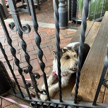 The Sterling Tavern restaurant view 2