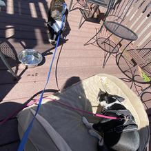 Wild Thyme Cafe restaurant view 1