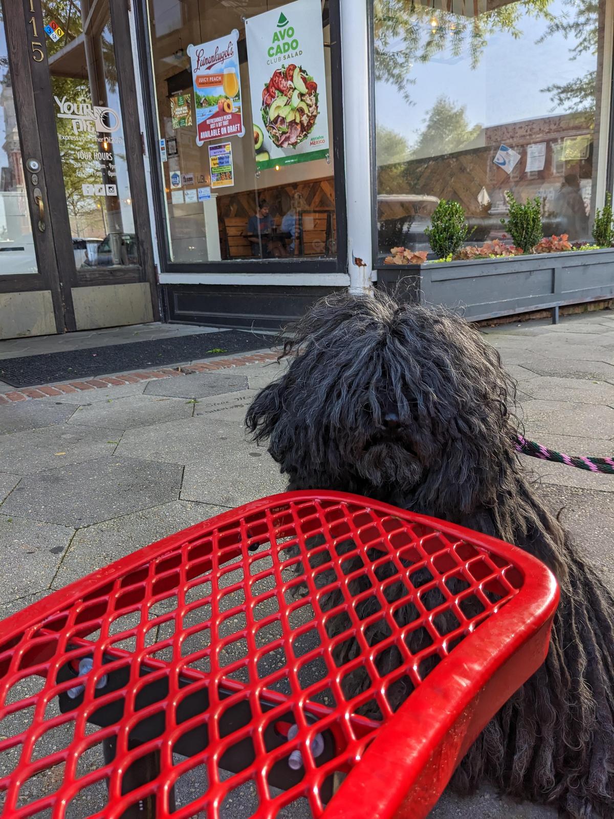 Your Pie restaurant view 1