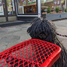 Your Pie restaurant view 1