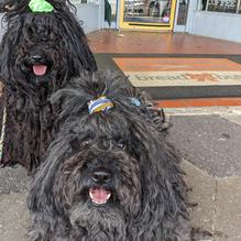 Bread and Butter Bakery restaurant view 1