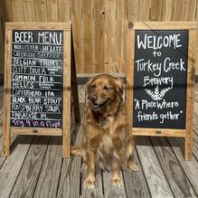 Turkey Creek Brewery restaurant view 1