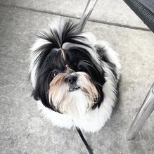 Simon's Coffee House restaurant view 1