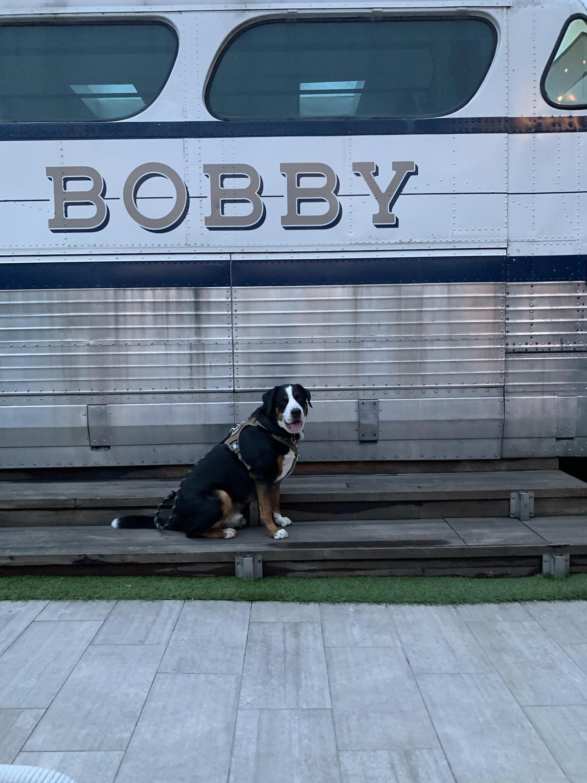 The Rooftop Lounge at Bobby Hotel restaurant view 2