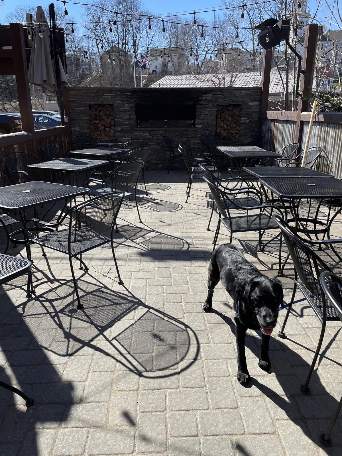 Bruno's Wood-Fired Pizzeria restaurant view 1