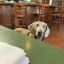 Downtown Joes American Brewery restaurant view 2