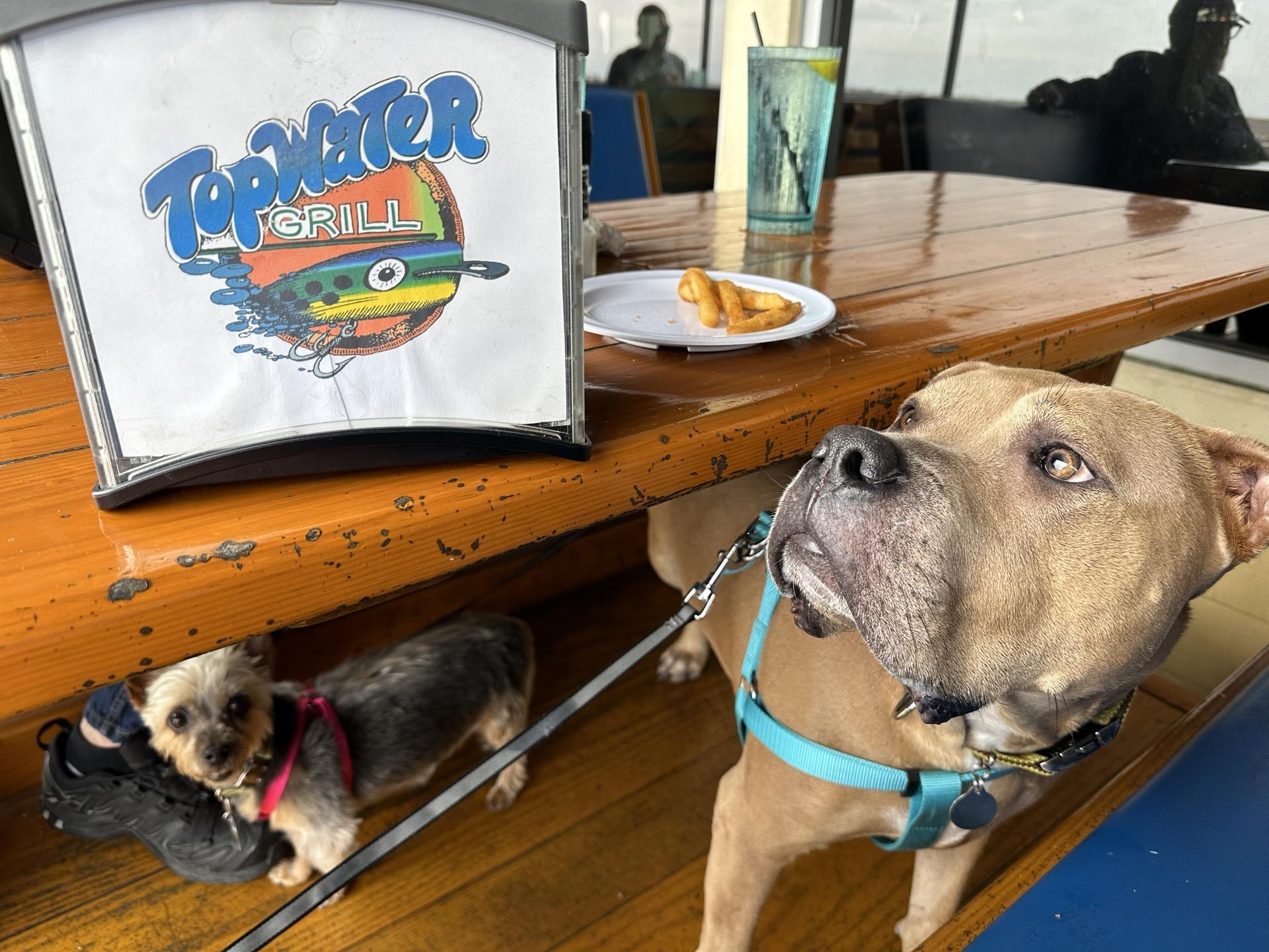 Pet Friendly Topwater Grill