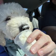 Starbucks restaurant view 1