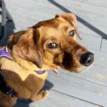 31 Sports Bar & Grille restaurant view 4