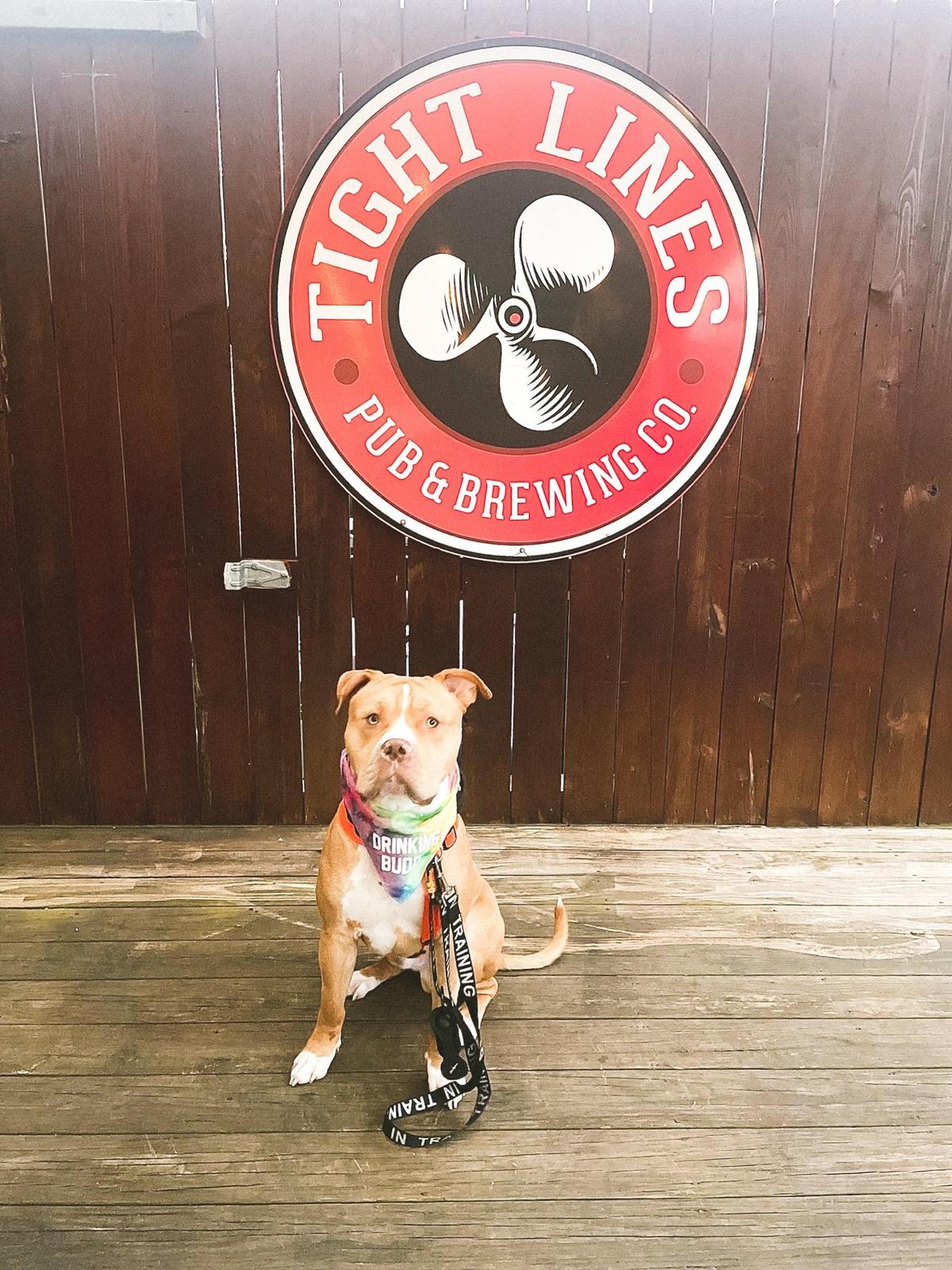 Tight Lines Pub and Brewing Co. restaurant view 4