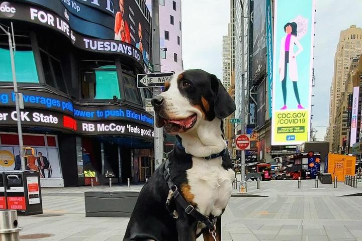 Augustus outside of ABC Studios in Times Square.