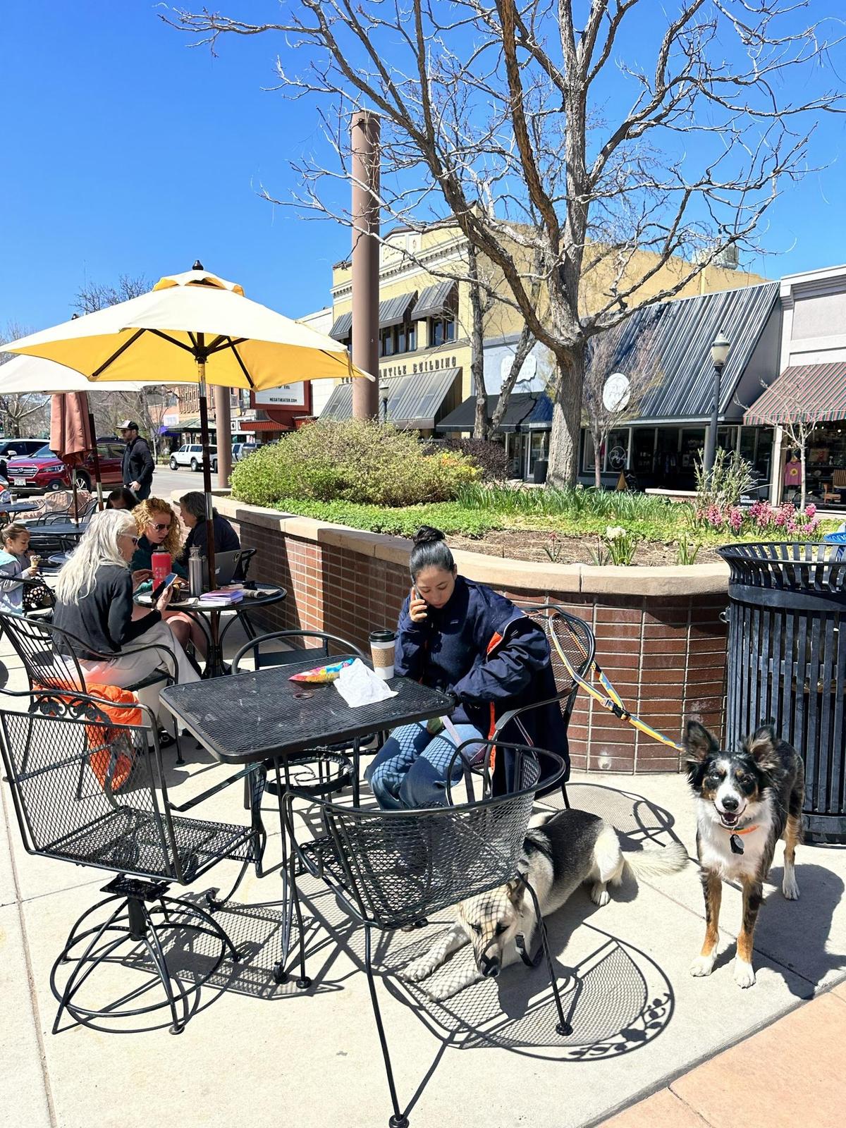 Main Street Bagels restaurant view 1
