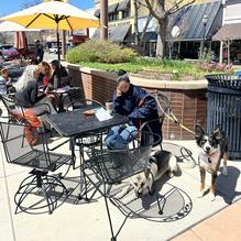 Main Street Bagels restaurant view 1