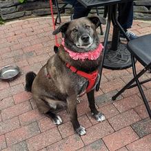 Wanda BYOB restaurant view 1