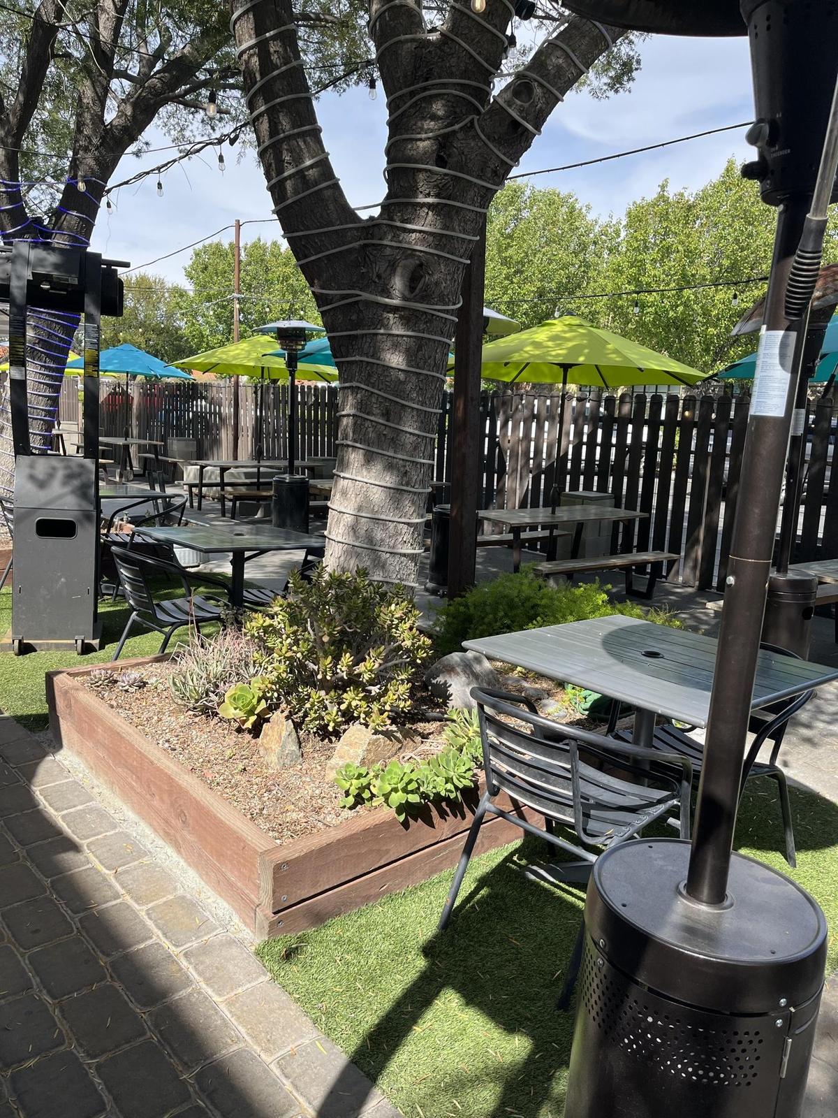 Colton's Social House restaurant view 8