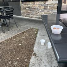 Colton's Social House restaurant view 6