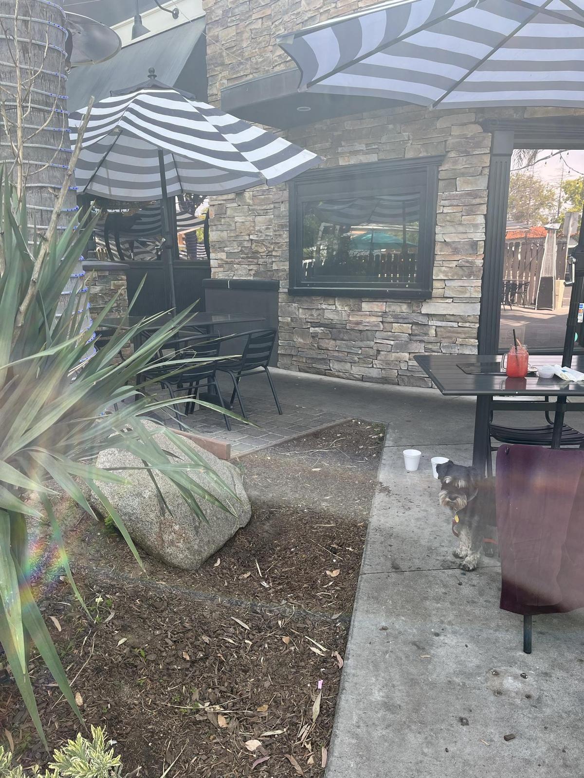 Colton's Social House restaurant view 5