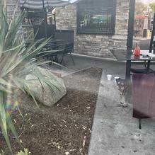 Colton's Social House restaurant view 5