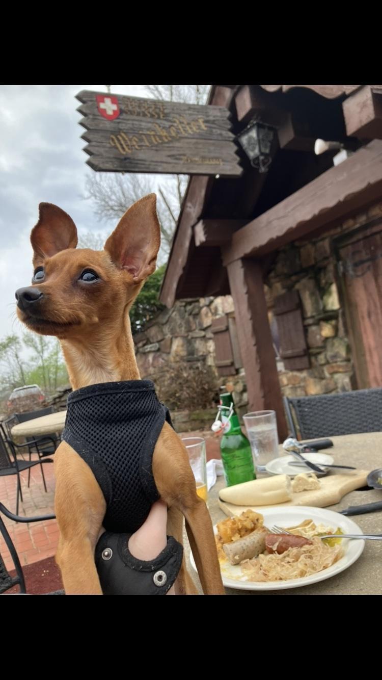 Weinkeller Restaurant restaurant view 3