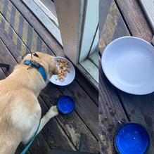 Whiskey River Sports Bar & Grill restaurant view 3