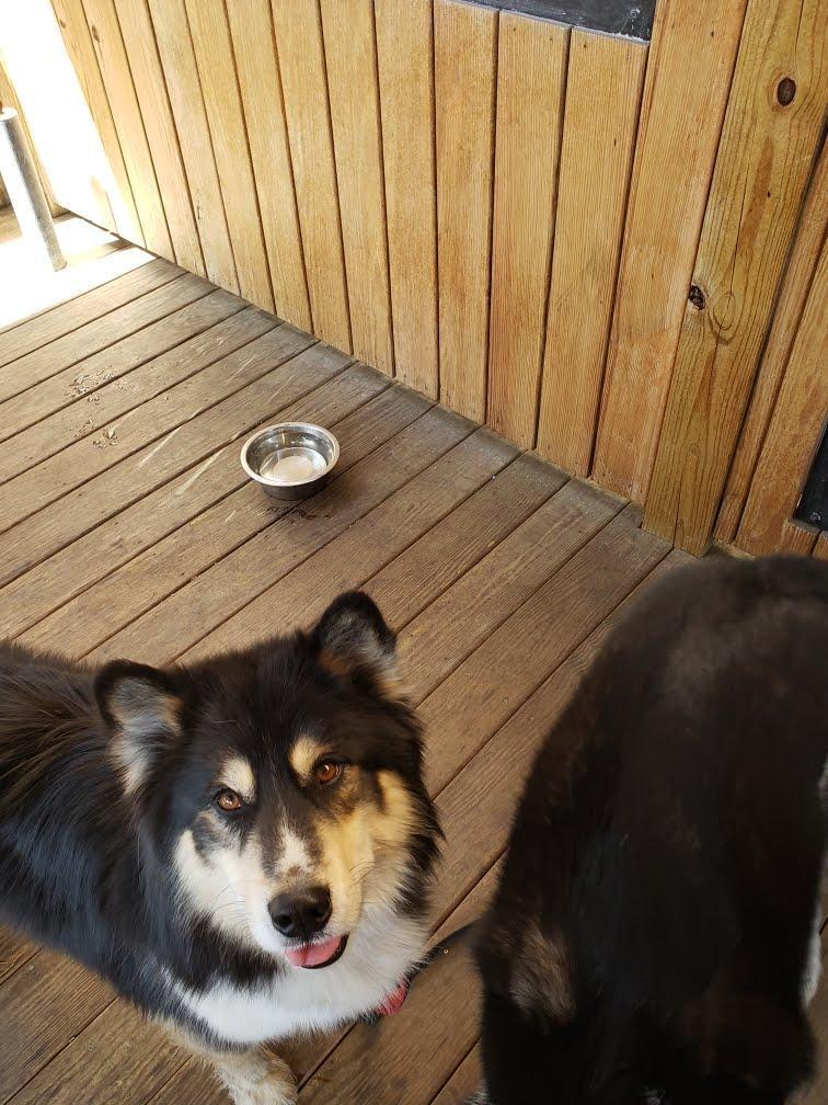 Willow Station Restaurant and Bar restaurant view 1