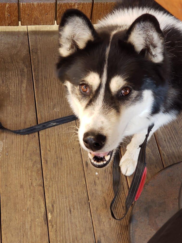 Willow Station Restaurant and Bar restaurant view 2