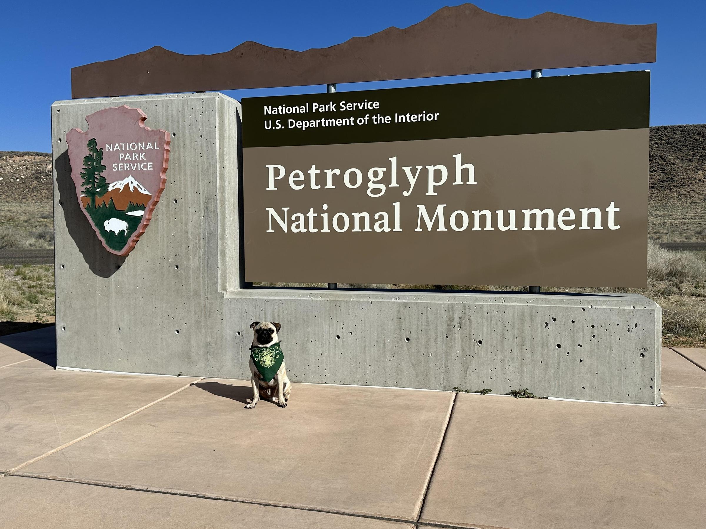 Pet Friendly Petroglyph National Monument