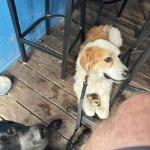 Whiskey River Sports Bar & Grill restaurant view 1