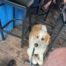 Whiskey River Sports Bar & Grill restaurant view 2