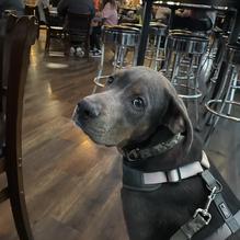 Mid City Pub & Grill restaurant view 1