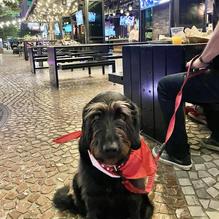 Beerhaus restaurant view 1