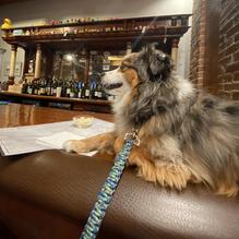 NouVines restaurant view 1