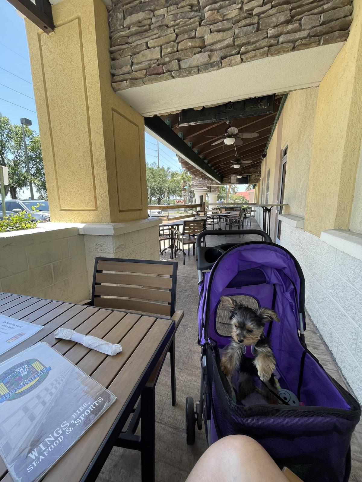Gator's Dockside restaurant view 1