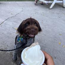 Baby Jake's Pizza restaurant view 1