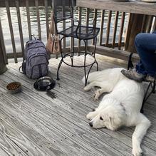 Waterfront Grill restaurant view 1