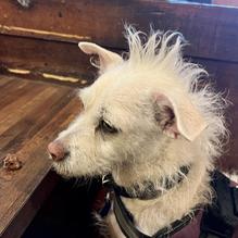 Wagon Wheel Restaurant restaurant view 3