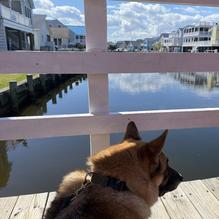 House of Sauce restaurant view 1